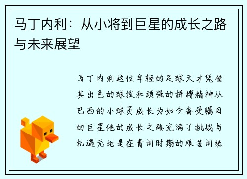 马丁内利：从小将到巨星的成长之路与未来展望