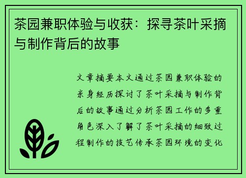 茶园兼职体验与收获：探寻茶叶采摘与制作背后的故事
